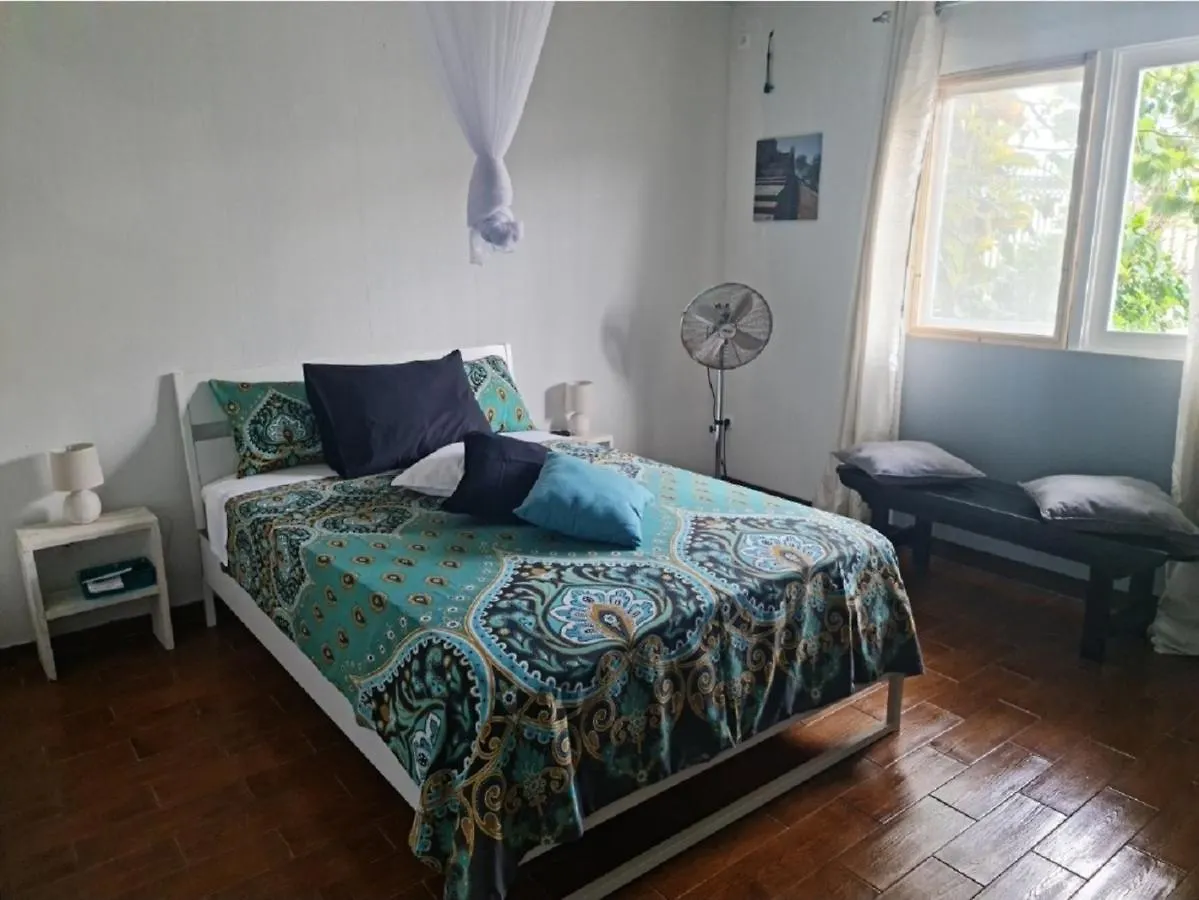 B&B 